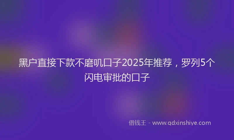 黑户直接下款不磨叽口子2025年推荐，罗列5个闪电审批的口子