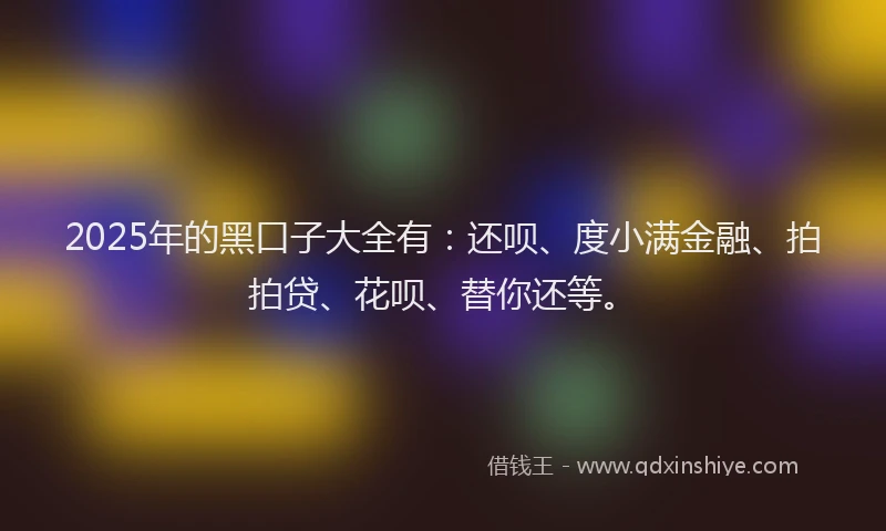 2025年的黑口子大全有：还呗、度小满金融、拍拍贷、花呗、替你还等。