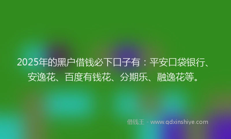 2025年的黑户借钱必下口子有：平安口袋银行、安逸花、百度有钱花、分期乐、融逸花等。