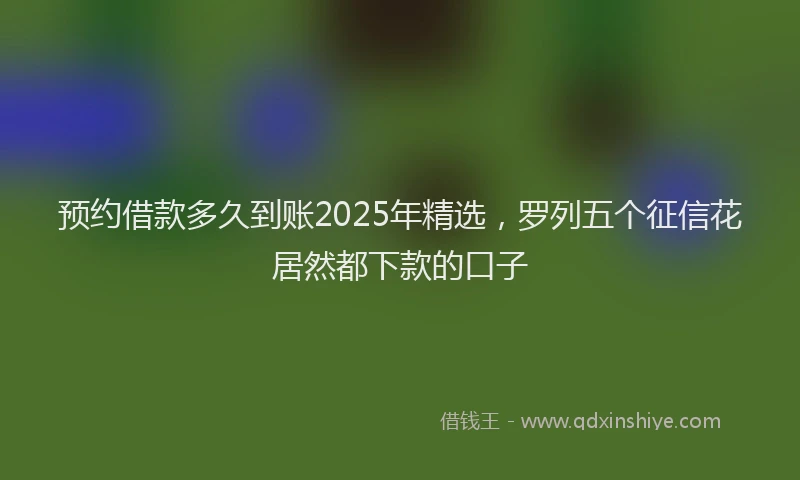 预约借款多久到账2025年精选，罗列五个征信花居然都下款的口子