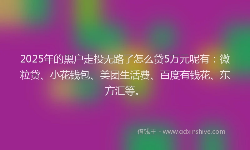 2025年的黑户走投无路了怎么贷5万元呢有：微粒贷、小花钱包、美团生活费、百度有钱花、东方汇等。