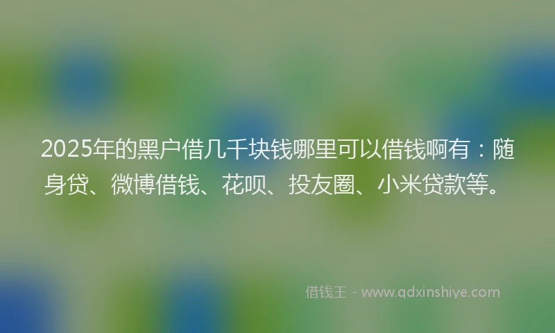 2025年的黑户借几千块钱哪里可以借钱啊有：随身贷、微博借钱、花呗、投友圈、小米贷款等。