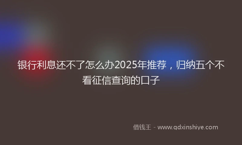 银行利息还不了怎么办2025年推荐，归纳五个不看征信查询的口子