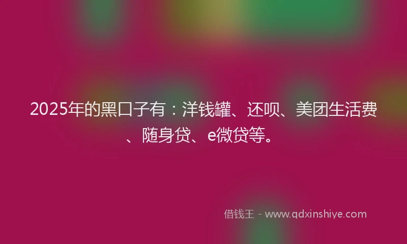 2025年的黑口子有：洋钱罐、还呗、美团生活费、随身贷、e微贷等。