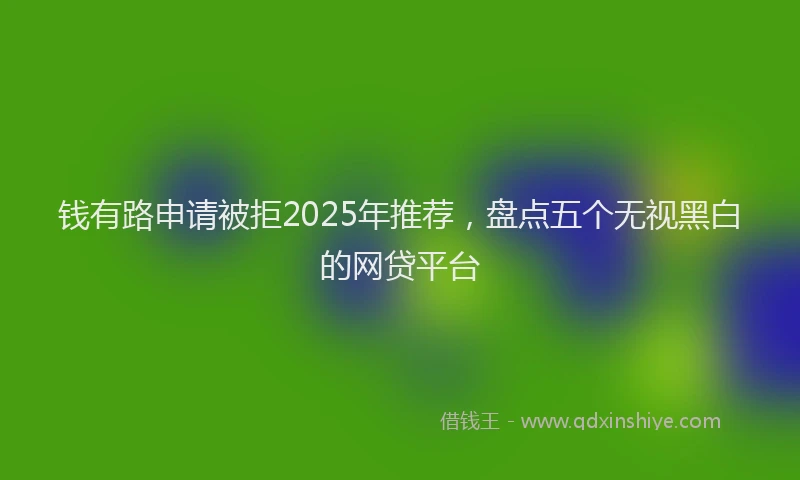 钱有路申请被拒2025年推荐，盘点五个无视黑白的网贷平台