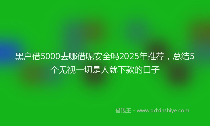 黑户借5000去哪借呢安全吗2025年推荐，总结5个无视一切是人就下款的口子