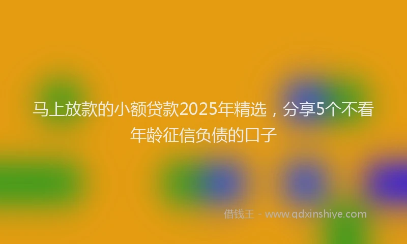 马上放款的小额贷款2025年精选，分享5个不看年龄征信负债的口子