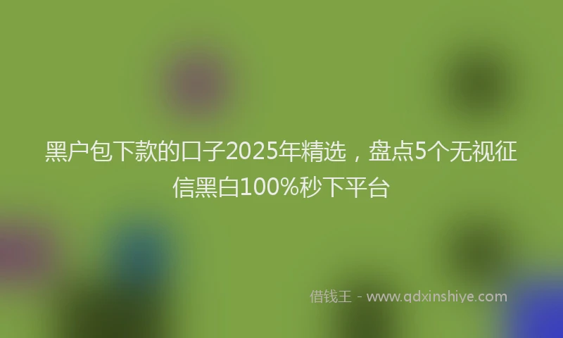 黑户包下款的口子2025年精选，盘点5个无视征信黑白100%秒下平台
