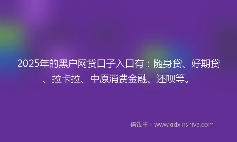 2025年的黑户网贷口子入口有：随身贷、好期贷、拉卡拉、中原消费金融、还呗等。