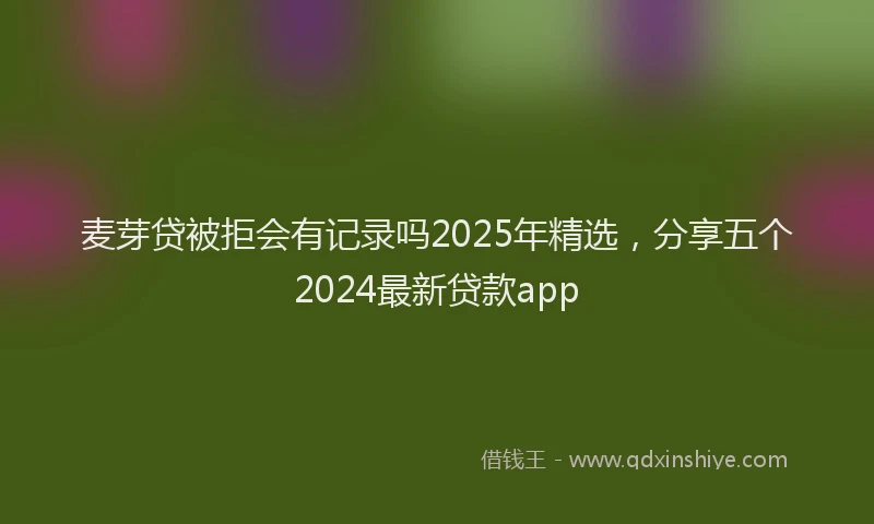 麦芽贷被拒会有记录吗2025年精选，分享五个2024最新贷款app