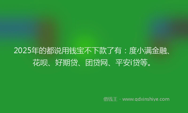 2025年的都说用钱宝不下款了有：度小满金融、花呗、好期贷、团贷网、平安i贷等。