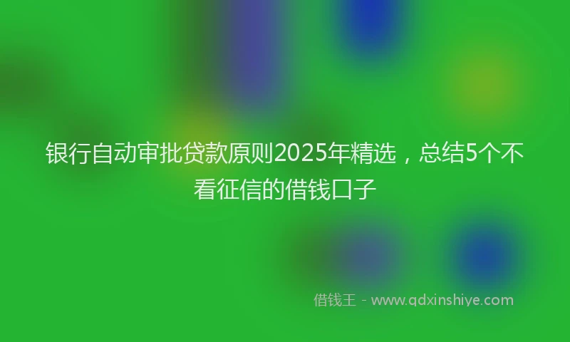 银行自动审批贷款原则2025年精选，总结5个不看征信的借钱口子