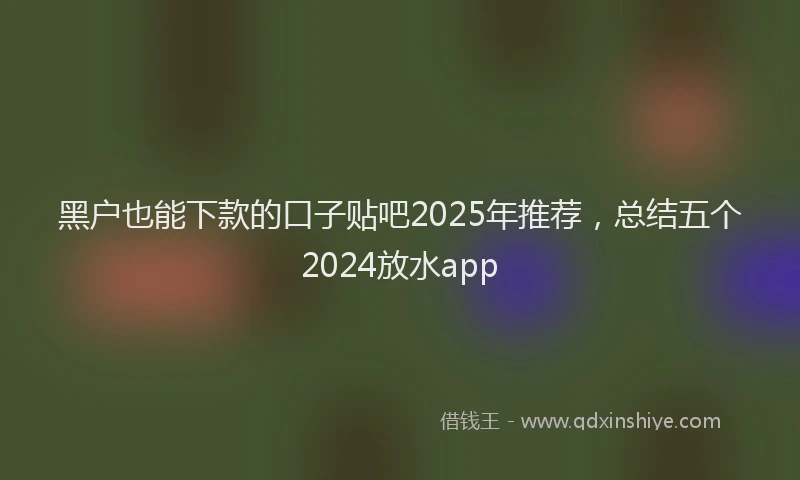 黑户也能下款的口子贴吧2025年推荐，总结五个2024放水app