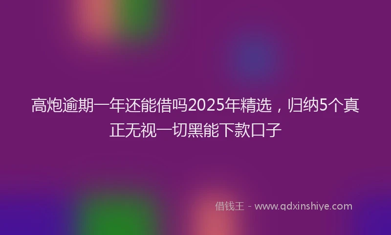 高炮逾期一年还能借吗2025年精选，归纳5个真正无视一切黑能下款口子