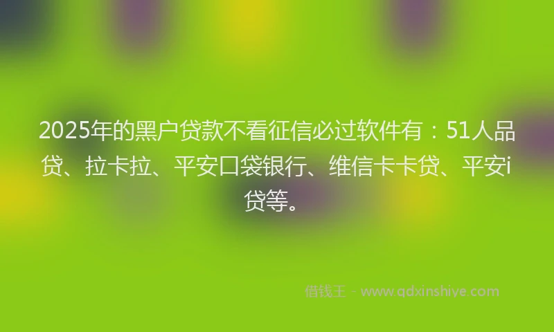 2025年的黑户贷款不看征信必过软件有：51人品贷、拉卡拉、平安口袋银行、维信卡卡贷、平安i贷等。
