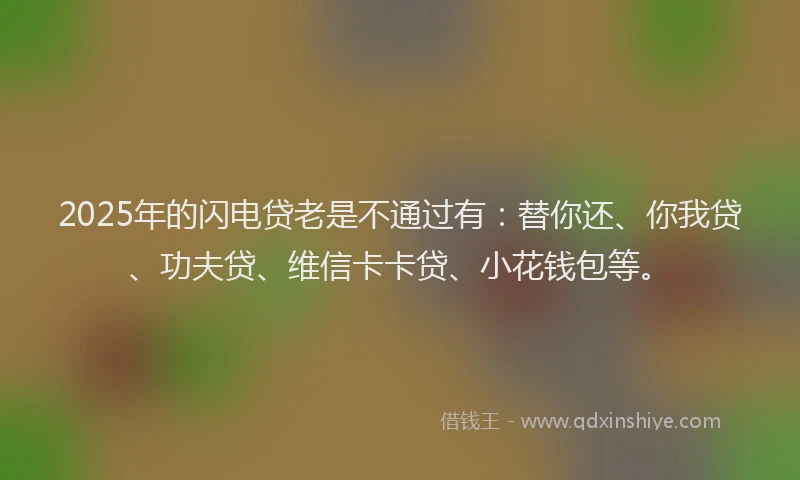 2025年的闪电贷老是不通过有：替你还、你我贷、功夫贷、维信卡卡贷、小花钱包等。