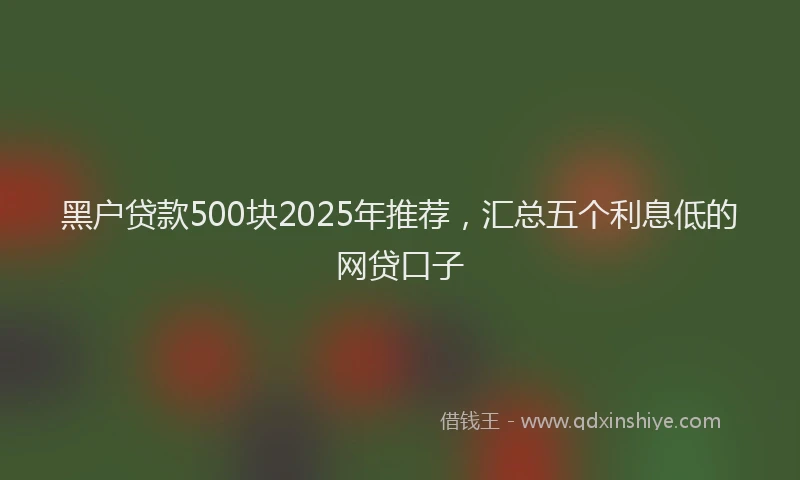 黑户贷款500块2025年推荐，汇总五个利息低的网贷口子