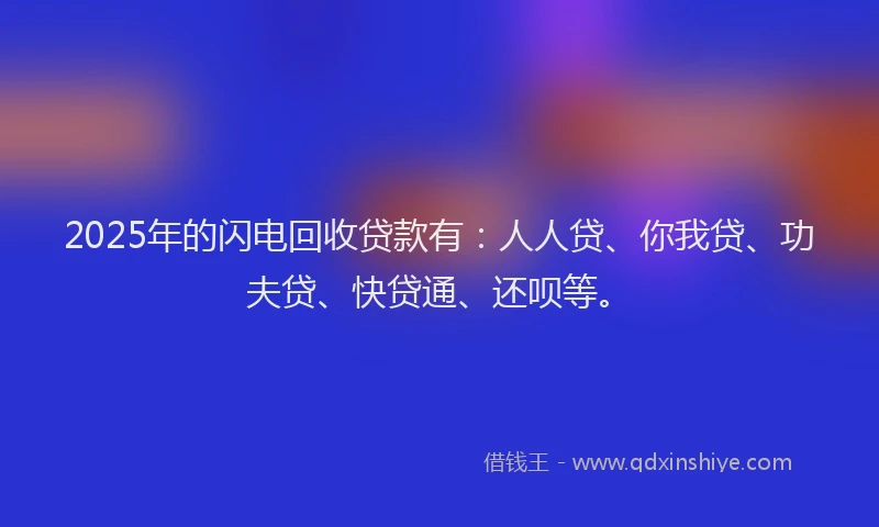 2025年的闪电回收贷款有：人人贷、你我贷、功夫贷、快贷通、还呗等。