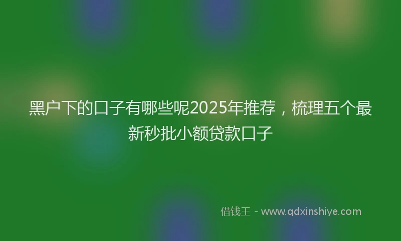 黑户下的口子有哪些呢2025年推荐，梳理五个最新秒批小额贷款口子