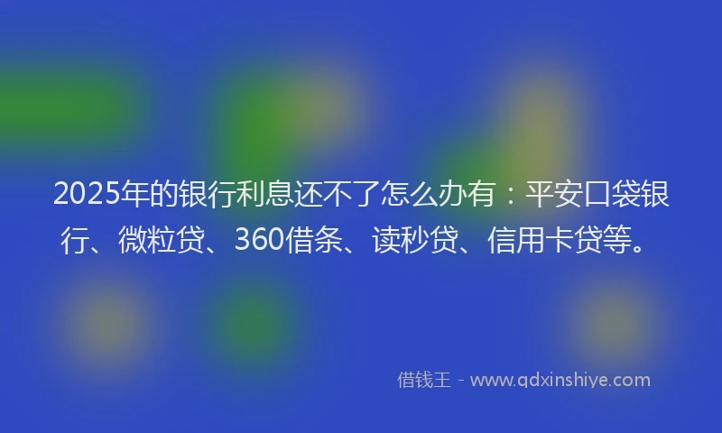 2025年的银行利息还不了怎么办有：平安口袋银行、微粒贷、360借条、读秒贷、信用卡贷等。
