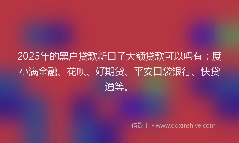 2025年的黑户贷款新口子大额贷款可以吗有：度小满金融、花呗、好期贷、平安口袋银行、快贷通等。