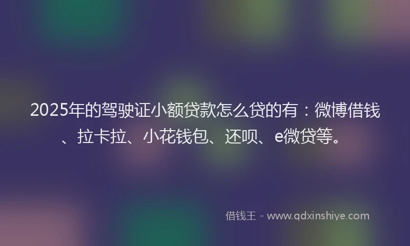 2025年的驾驶证小额贷款怎么贷的有：微博借钱、拉卡拉、小花钱包、还呗、e微贷等。