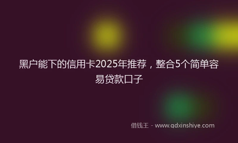 黑户能下的信用卡2025年推荐，整合5个简单容易贷款口子