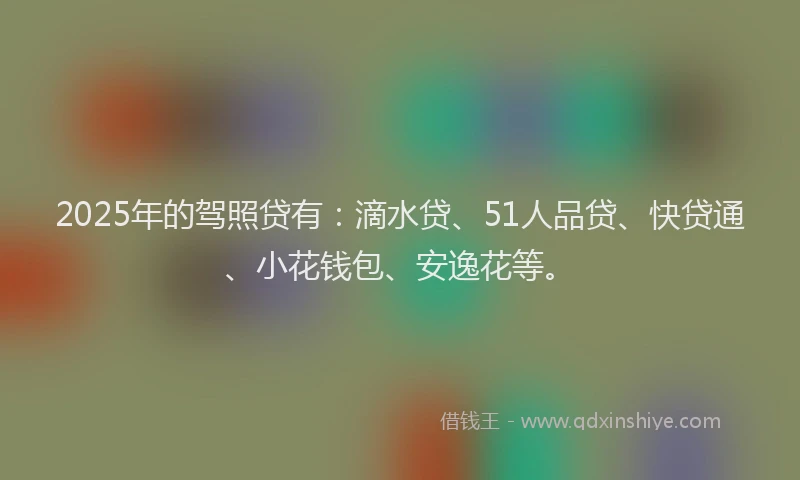 2025年的驾照贷有：滴水贷、51人品贷、快贷通、小花钱包、安逸花等。