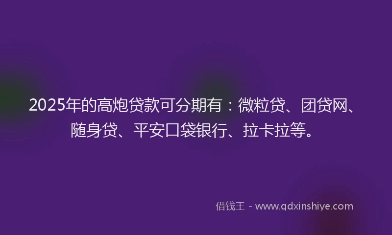 2025年的高炮贷款可分期有：微粒贷、团贷网、随身贷、平安口袋银行、拉卡拉等。