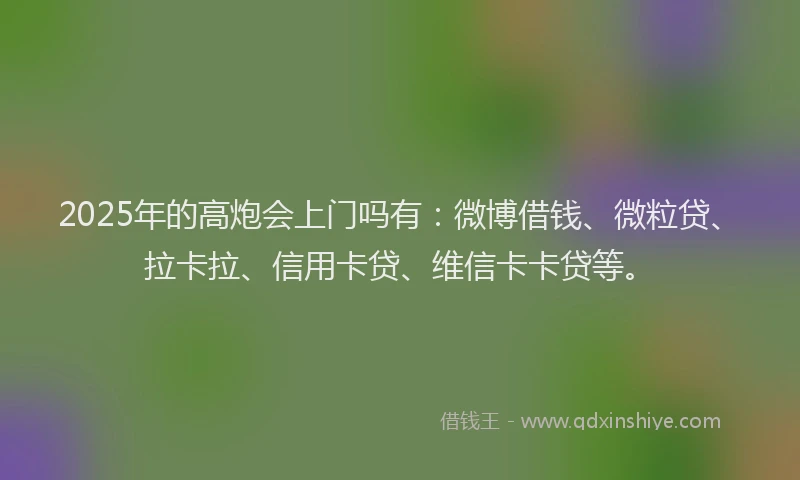 2025年的高炮会上门吗有：微博借钱、微粒贷、拉卡拉、信用卡贷、维信卡卡贷等。