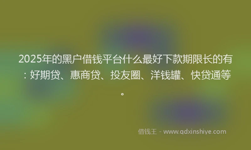 2025年的黑户借钱平台什么最好下款期限长的有：好期贷、惠商贷、投友圈、洋钱罐、快贷通等。