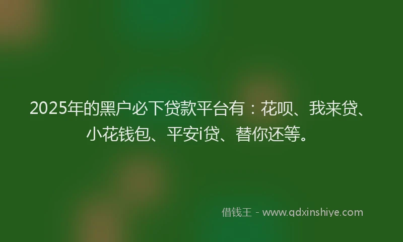 2025年的黑户必下贷款平台有：花呗、我来贷、小花钱包、平安i贷、替你还等。