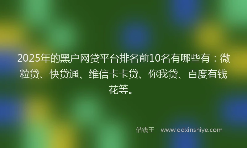 2025年的黑户网贷平台排名前10名有哪些有：微粒贷、快贷通、维信卡卡贷、你我贷、百度有钱花等。