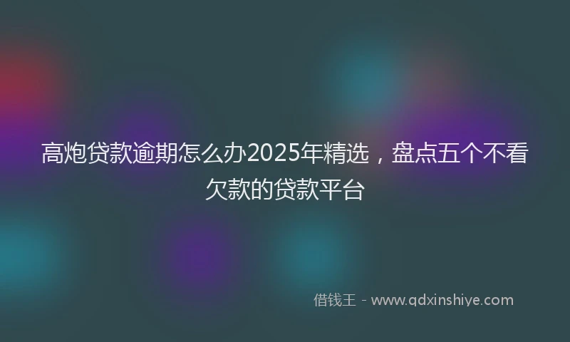 高炮贷款逾期怎么办2025年精选，盘点五个不看欠款的贷款平台