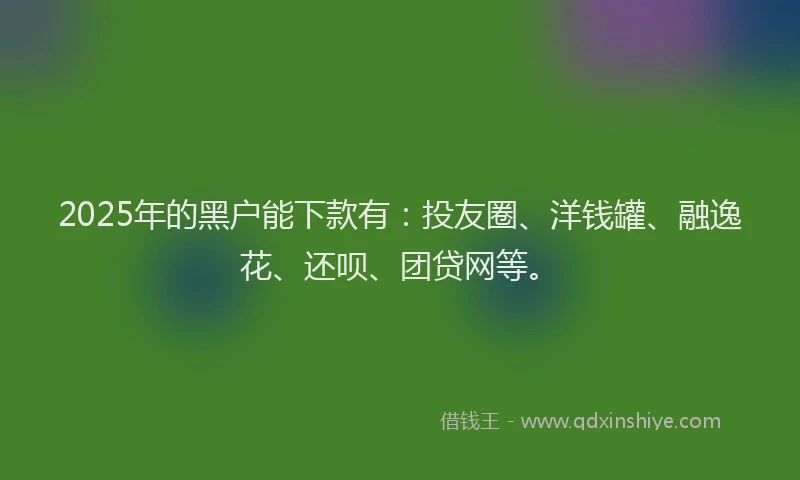 2025年的黑户能下款有：投友圈、洋钱罐、融逸花、还呗、团贷网等。