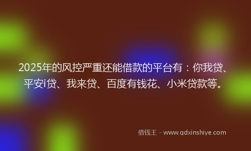 2025年的风控严重还能借款的平台有：你我贷、平安i贷、我来贷、百度有钱花、小米贷款等。