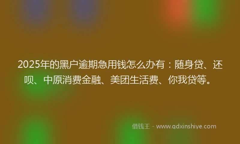 2025年的黑户逾期急用钱怎么办有：随身贷、还呗、中原消费金融、美团生活费、你我贷等。