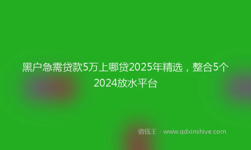 黑户急需贷款5万上哪贷2025年精选，整合5个2024放水平台