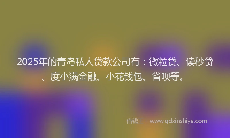 2025年的青岛私人贷款公司有：微粒贷、读秒贷、度小满金融、小花钱包、省呗等。