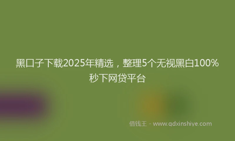 黑口子下载2025年精选，整理5个无视黑白100%秒下网贷平台