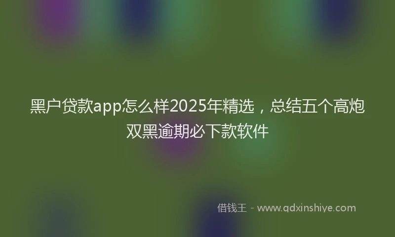 黑户贷款app怎么样2025年精选，总结五个高炮双黑逾期必下款软件