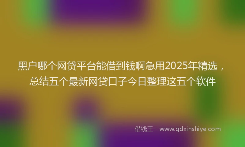 黑户哪个网贷平台能借到钱啊急用2025年精选，总结五个最新网贷口子今日整理这五个软件