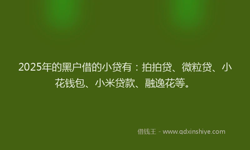 2025年的黑户借的小贷有：拍拍贷、微粒贷、小花钱包、小米贷款、融逸花等。