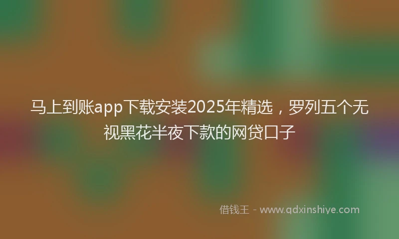 马上到账app下载安装2025年精选，罗列五个无视黑花半夜下款的网贷口子