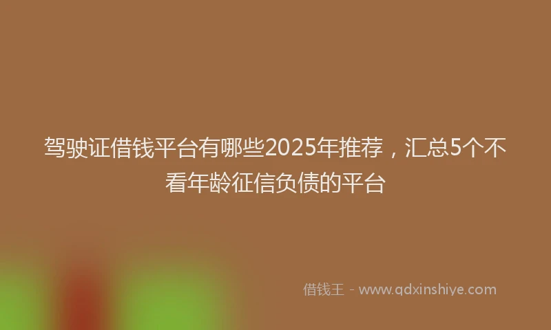 驾驶证借钱平台有哪些2025年推荐，汇总5个不看年龄征信负债的平台