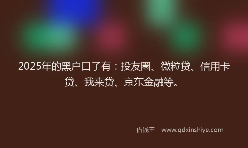 2025年的黑户口子有：投友圈、微粒贷、信用卡贷、我来贷、京东金融等。