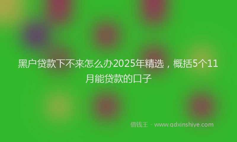 黑户贷款下不来怎么办2025年精选，概括5个11月能贷款的口子