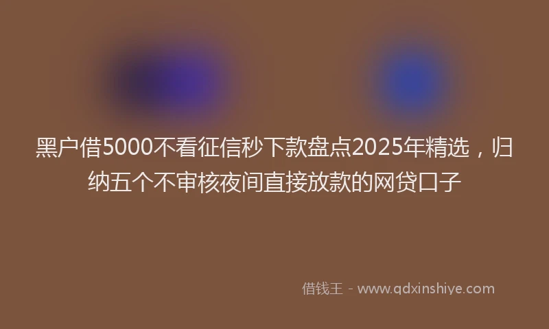 黑户借5000不看征信秒下款盘点2025年精选，归纳五个不审核夜间直接放款的网贷口子