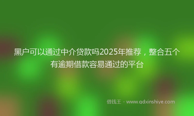 黑户可以通过中介贷款吗2025年推荐，整合五个有逾期借款容易通过的平台