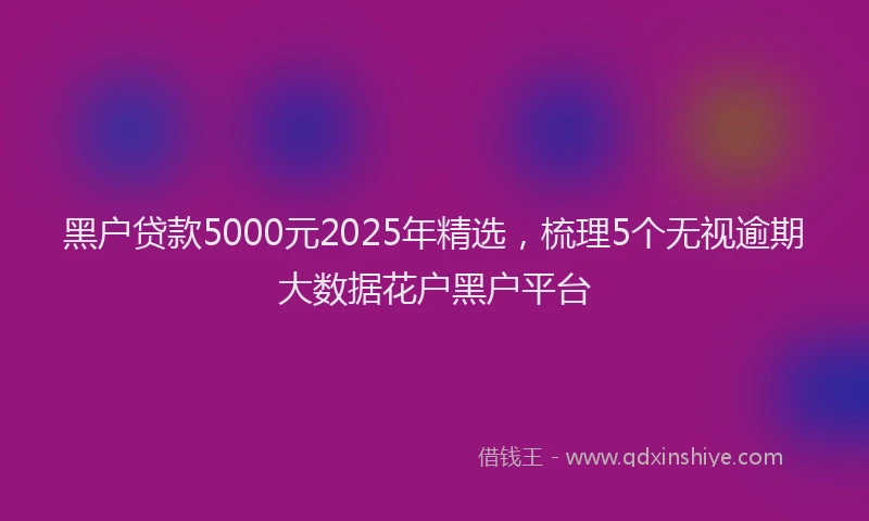 黑户贷款5000元2025年精选，梳理5个无视逾期大数据花户黑户平台